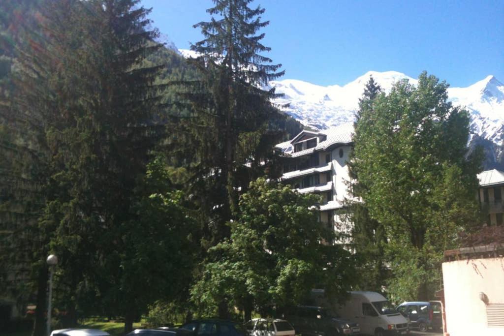 Appartement Chamonix - Vue Mont Blanc Εξωτερικό φωτογραφία